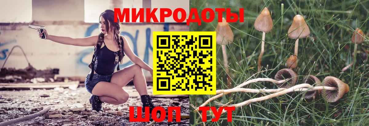 Галлюциногенные грибы Psilocybe Магнитогорск